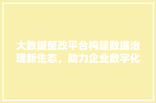 大数据整改平台构建数据治理新生态，助力企业数字化转型