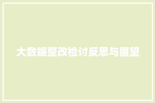 大数据整改检讨反思与展望
