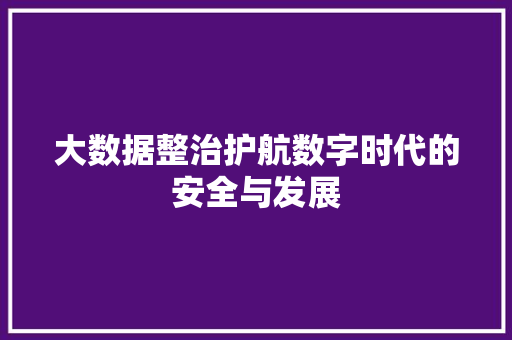 大数据整治护航数字时代的安全与发展
