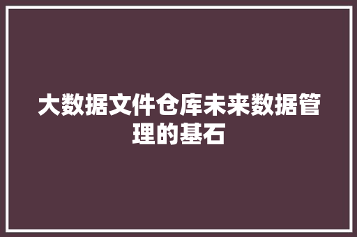 大数据文件仓库未来数据管理的基石 大数据文件仓库未来数据管理的基石