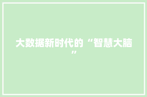 大数据新时代的“智慧大脑”