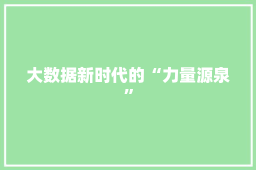 大数据新时代的“力量源泉”