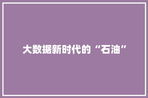 大数据新时代的“石油” 大数据新时代的“石油”
