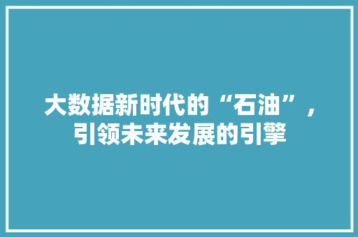大数据新时代的“石油”，引领未来发展的引擎