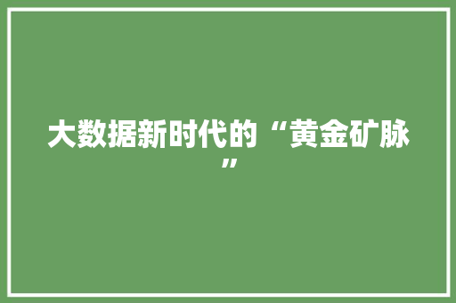 大数据新时代的“黄金矿脉”