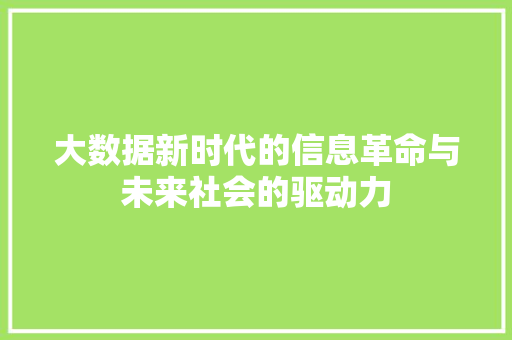 大数据新时代的信息革命与未来社会的驱动力