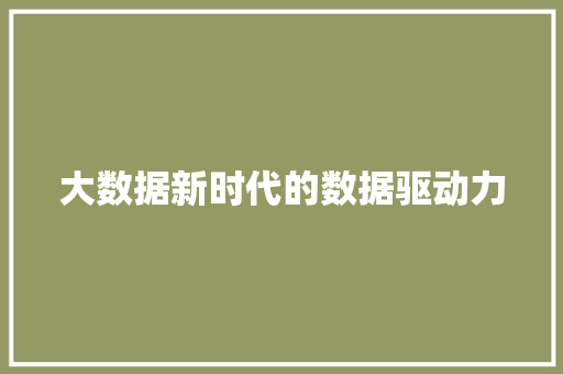 大数据新时代的数据驱动力