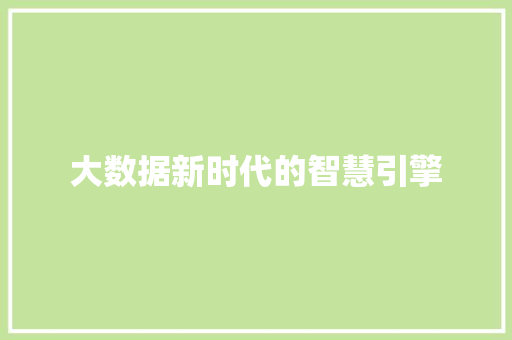大数据新时代的智慧引擎