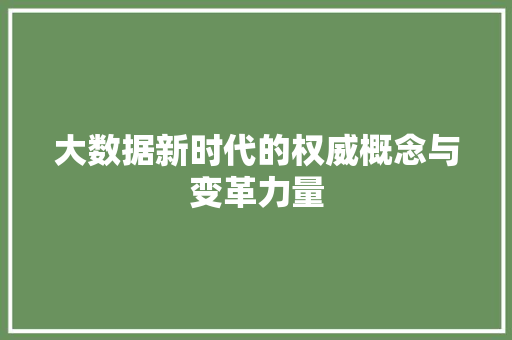 大数据新时代的权威概念与变革力量 编程语言