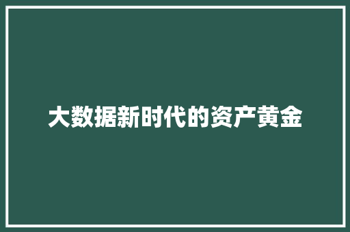 大数据新时代的资产黄金