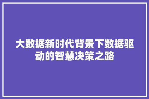大数据新时代背景下数据驱动的智慧决策之路 大数据新时代背景下数据驱动的智慧决策之路