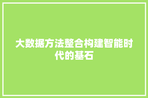 大数据方法整合构建智能时代的基石