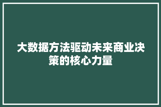 大数据方法驱动未来商业决策的核心力量