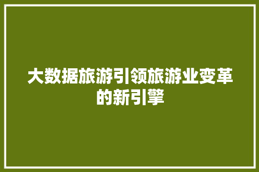 大数据旅游引领旅游业变革的新引擎