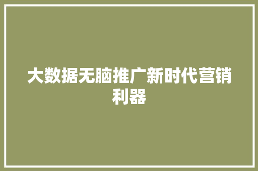 大数据无脑推广新时代营销利器