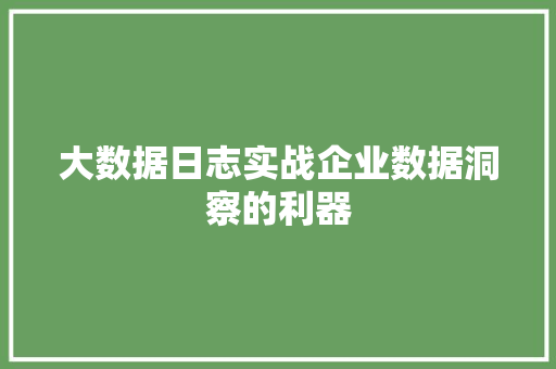 大数据日志实战企业数据洞察的利器