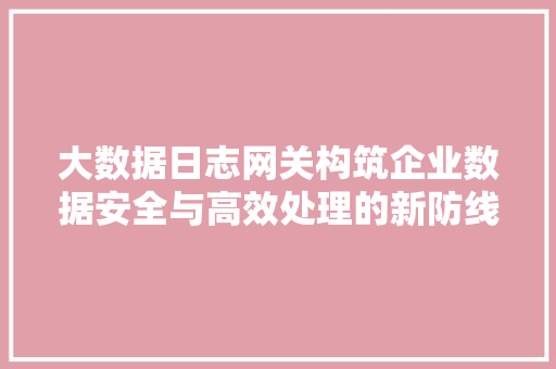 大数据日志网关构筑企业数据安全与高效处理的新防线 编程语言