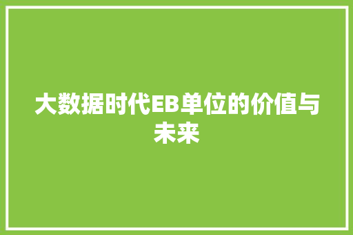 大数据时代EB单位的价值与未来