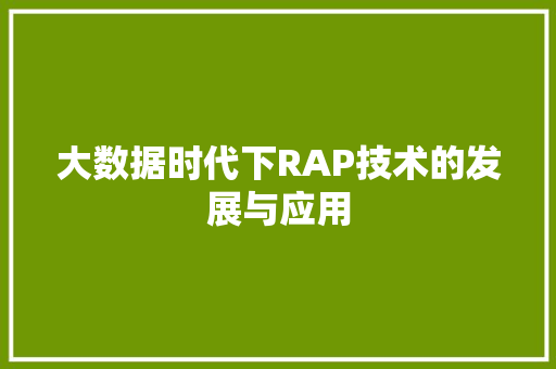 大数据时代下RAP技术的发展与应用 大数据时代下RAP技术的发展与应用