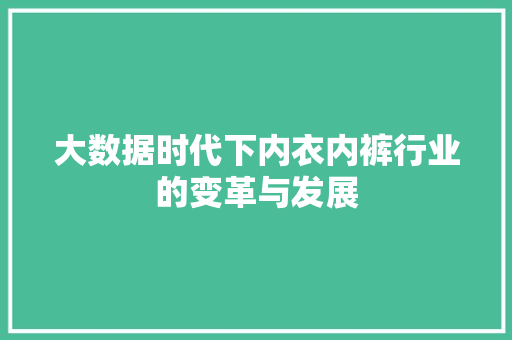 大数据时代下内衣内裤行业的变革与发展 大数据时代下内衣内裤行业的变革与发展