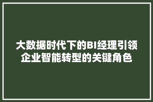 大数据时代下的BI经理引领企业智能转型的关键角色 网络技术