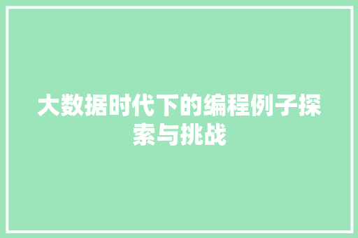 大数据时代下的编程例子探索与挑战 编程语言