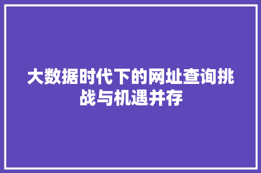 大数据时代下的网址查询挑战与机遇并存 操作系统