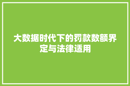 大数据时代下的罚款数额界定与法律适用 网络技术 大数据时代下的罚款数额界定与法律适用 网络技术
