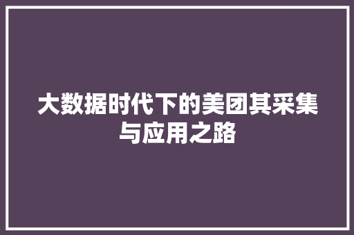 大数据时代下的美团其采集与应用之路 编程语言