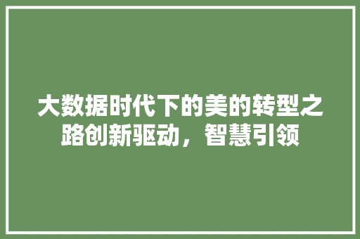 大数据时代下的美的转型之路创新驱动，智慧引领 编程语言
