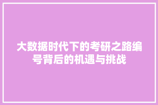 大数据时代下的考研之路编号背后的机遇与挑战 电脑配置 大数据时代下的考研之路编号背后的机遇与挑战 电脑配置