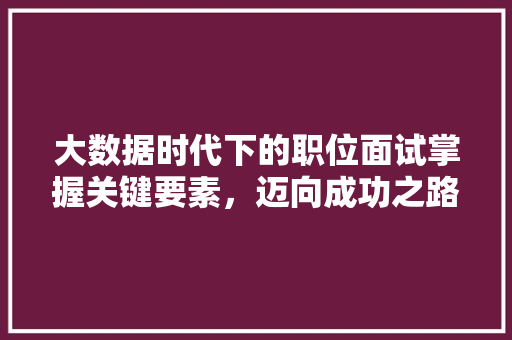 大数据时代下的职位面试掌握关键要素，迈向成功之路 编程语言