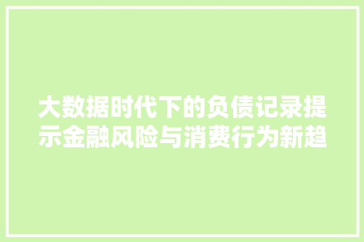大数据时代下的负债记录提示金融风险与消费行为新趋势