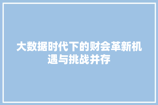 大数据时代下的财会革新机遇与挑战并存