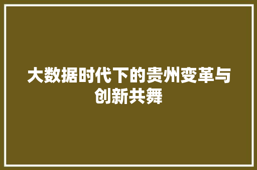 大数据时代下的贵州变革与创新共舞
