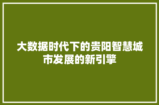 大数据时代下的贵阳智慧城市发展的新引擎