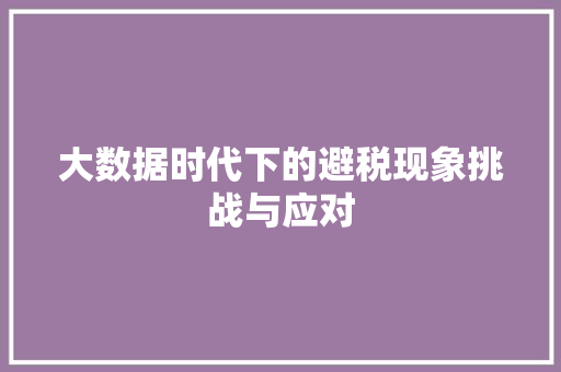 大数据时代下的避税现象挑战与应对