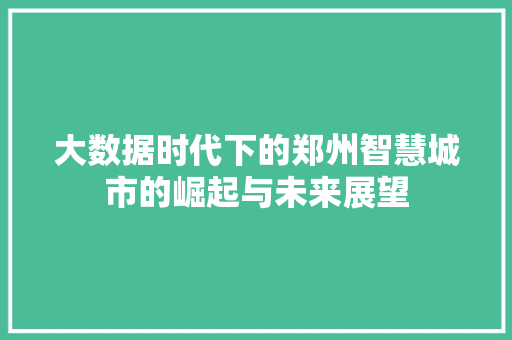大数据时代下的郑州智慧城市的崛起与未来展望