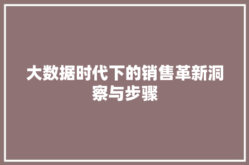 大数据时代下的销售革新洞察与步骤