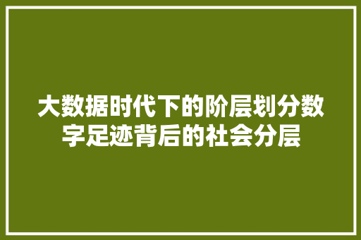 大数据时代下的阶层划分数字足迹背后的社会分层