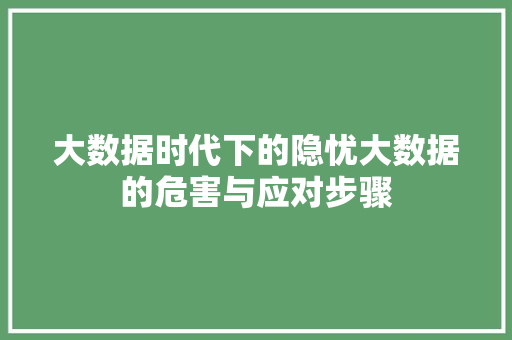 大数据时代下的隐忧大数据的危害与应对步骤