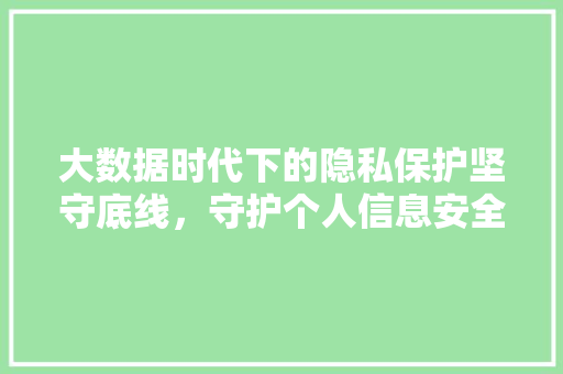 大数据时代下的隐私保护坚守底线，守护个人信息安全