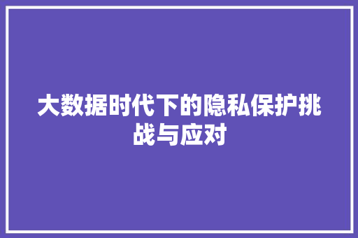 大数据时代下的隐私保护挑战与应对