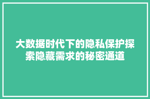 大数据时代下的隐私保护探索隐藏需求的秘密通道