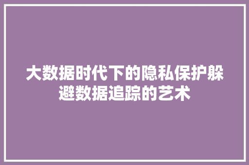 大数据时代下的隐私保护躲避数据追踪的艺术