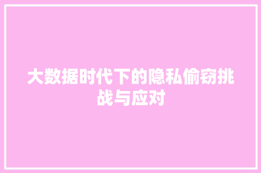 大数据时代下的隐私偷窃挑战与应对