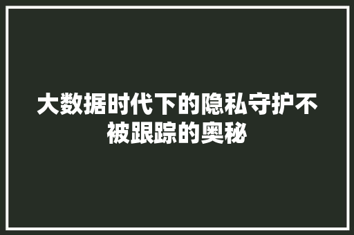 大数据时代下的隐私守护不被跟踪的奥秘