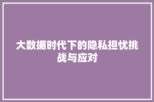 大数据时代下的隐私担忧挑战与应对