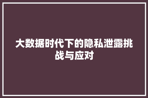 大数据时代下的隐私泄露挑战与应对