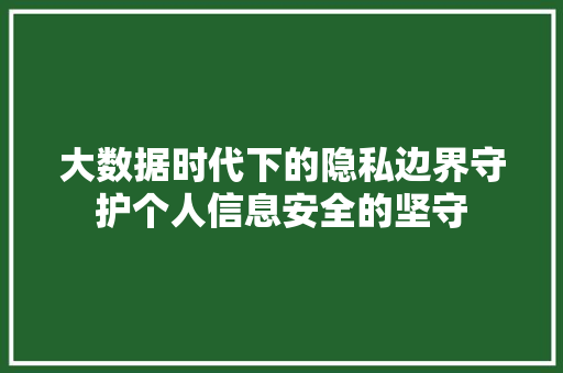 大数据时代下的隐私边界守护个人信息安全的坚守